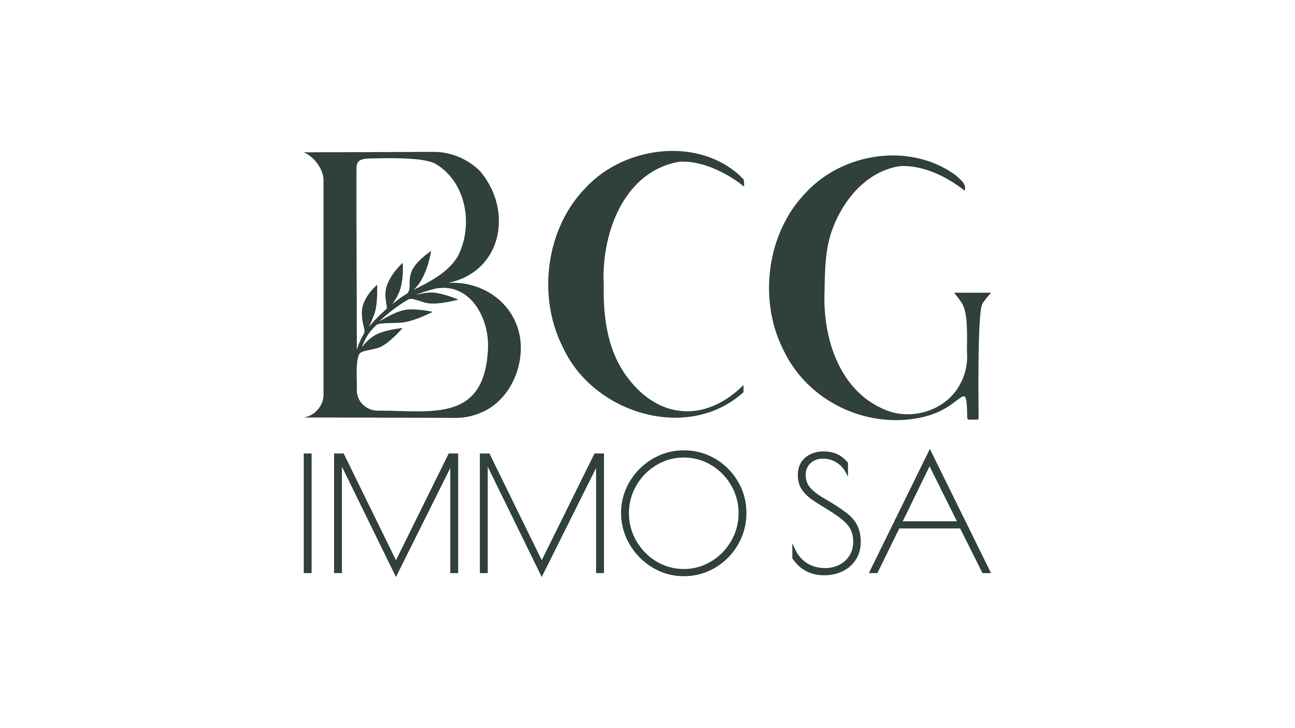 logo_bcg_foncé_petit